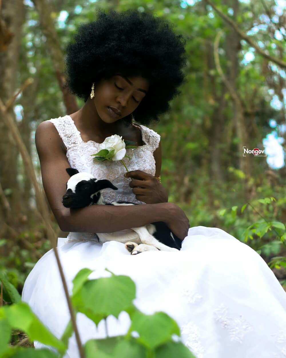 Creation Story Series Image 10