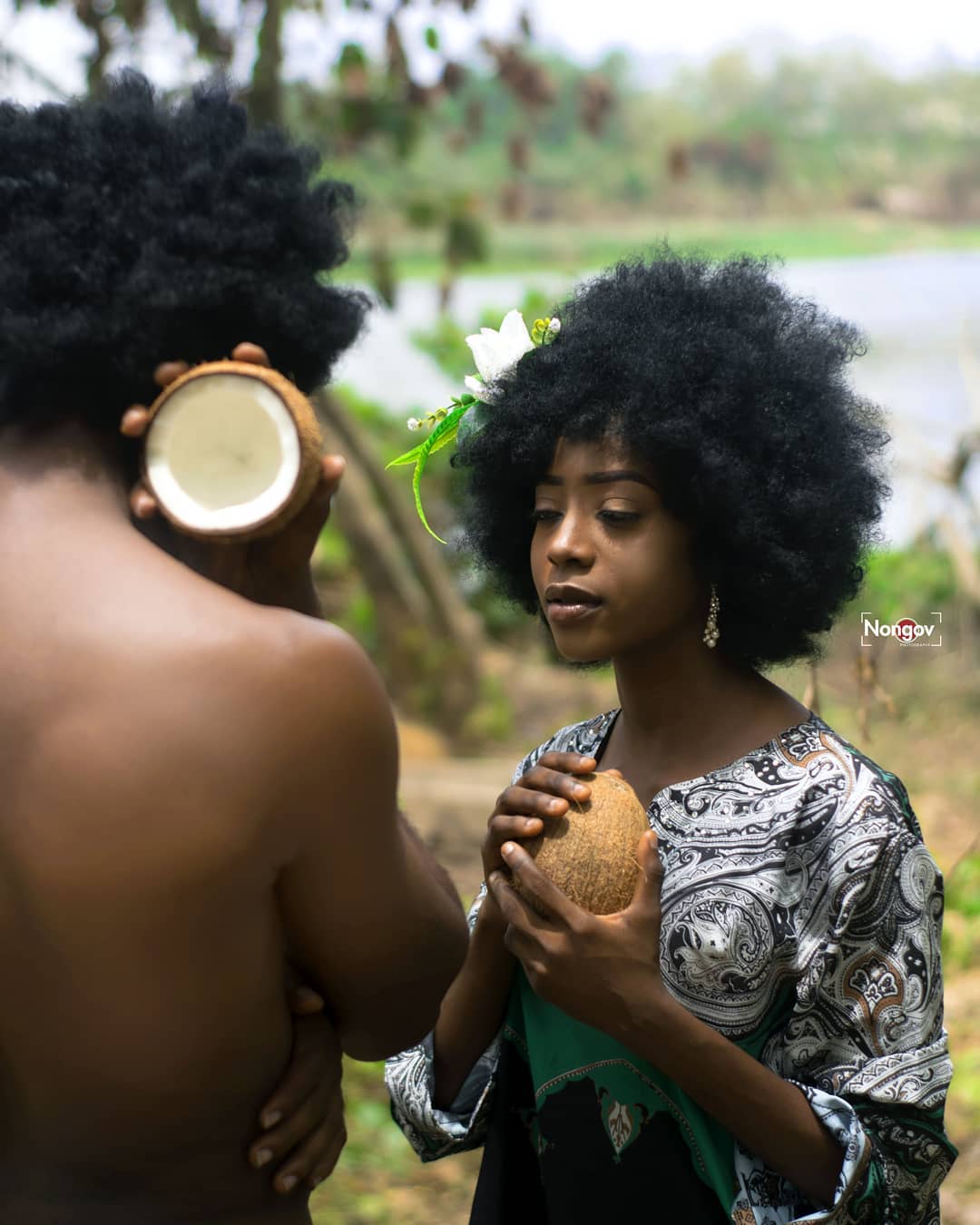 Creation Story Series Image 11