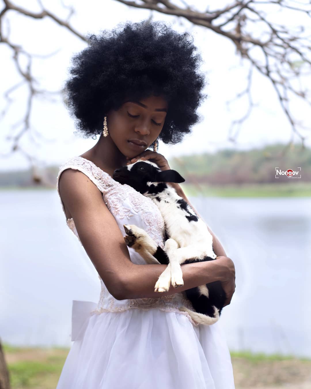 Creation Story Series Image 12