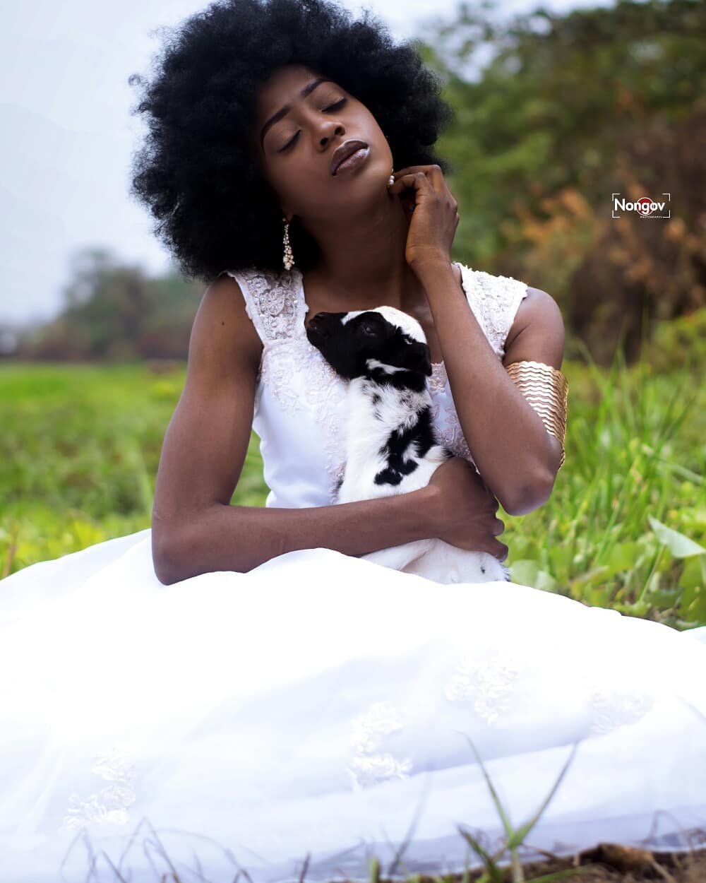 Creation Story Series Image 16