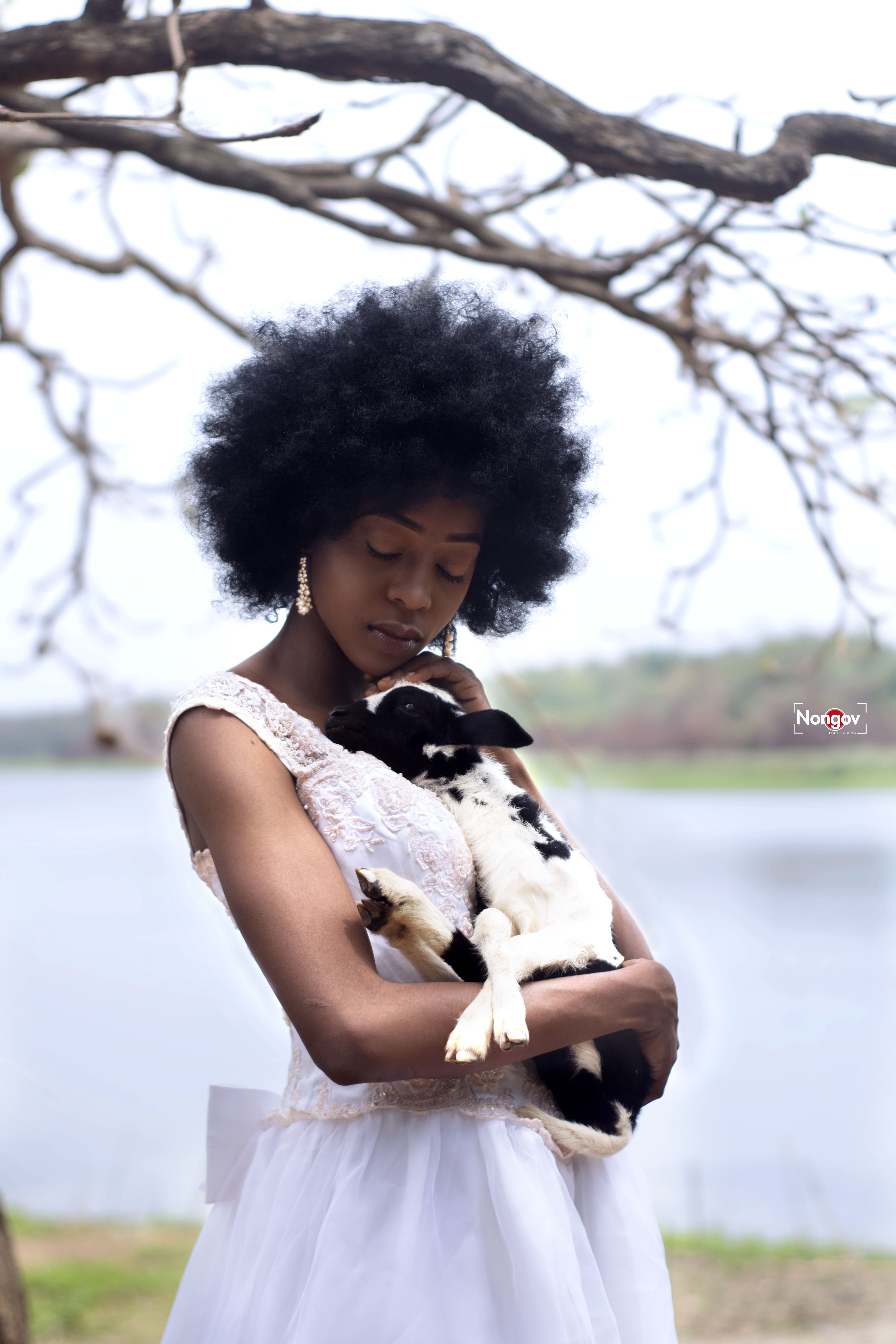 Creation Story Series Image 5