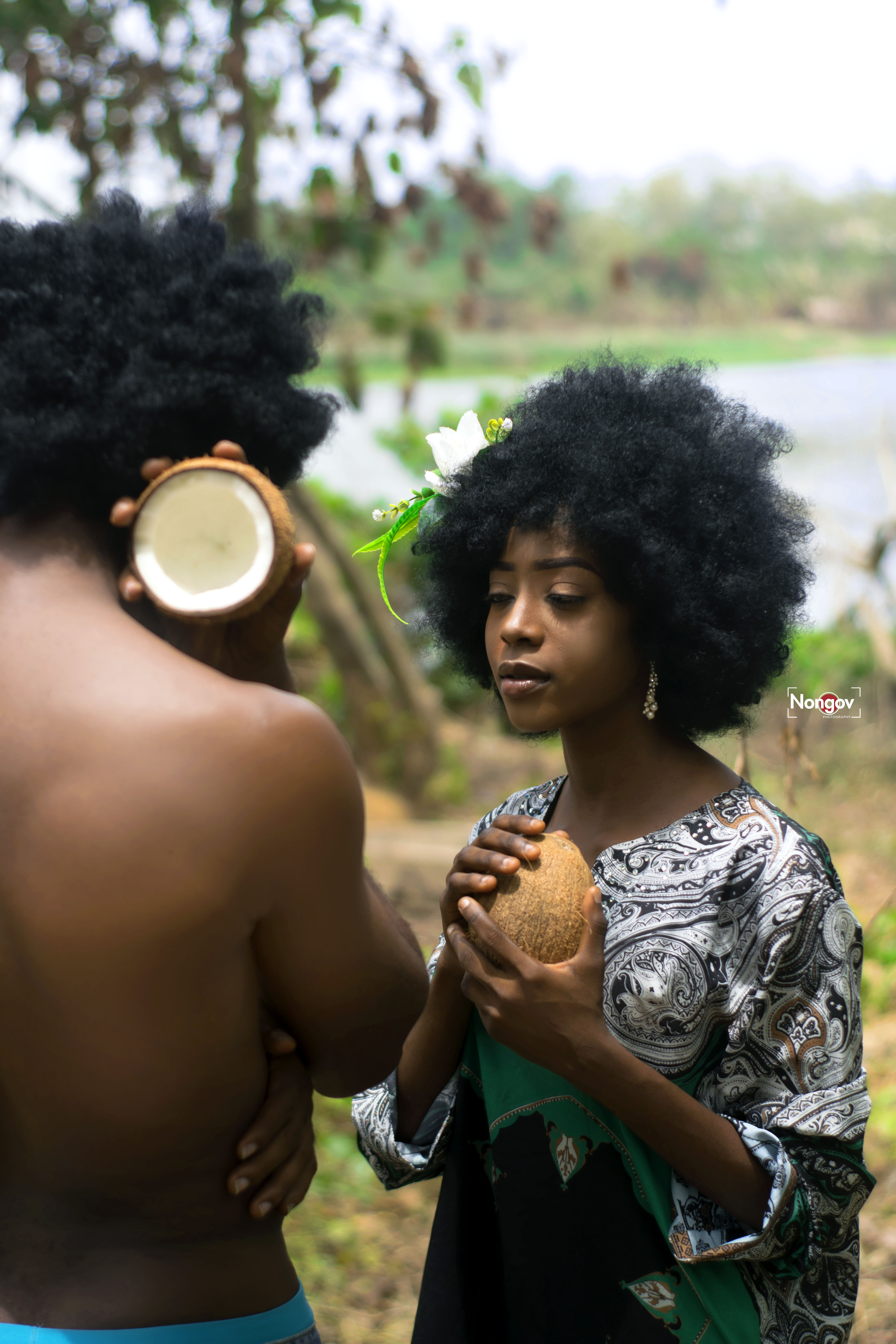 Creation Story Series Image 6