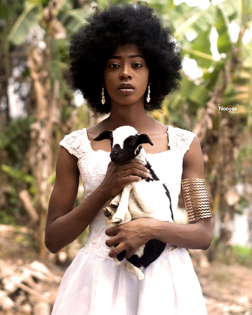 Creation Story Series Image 7