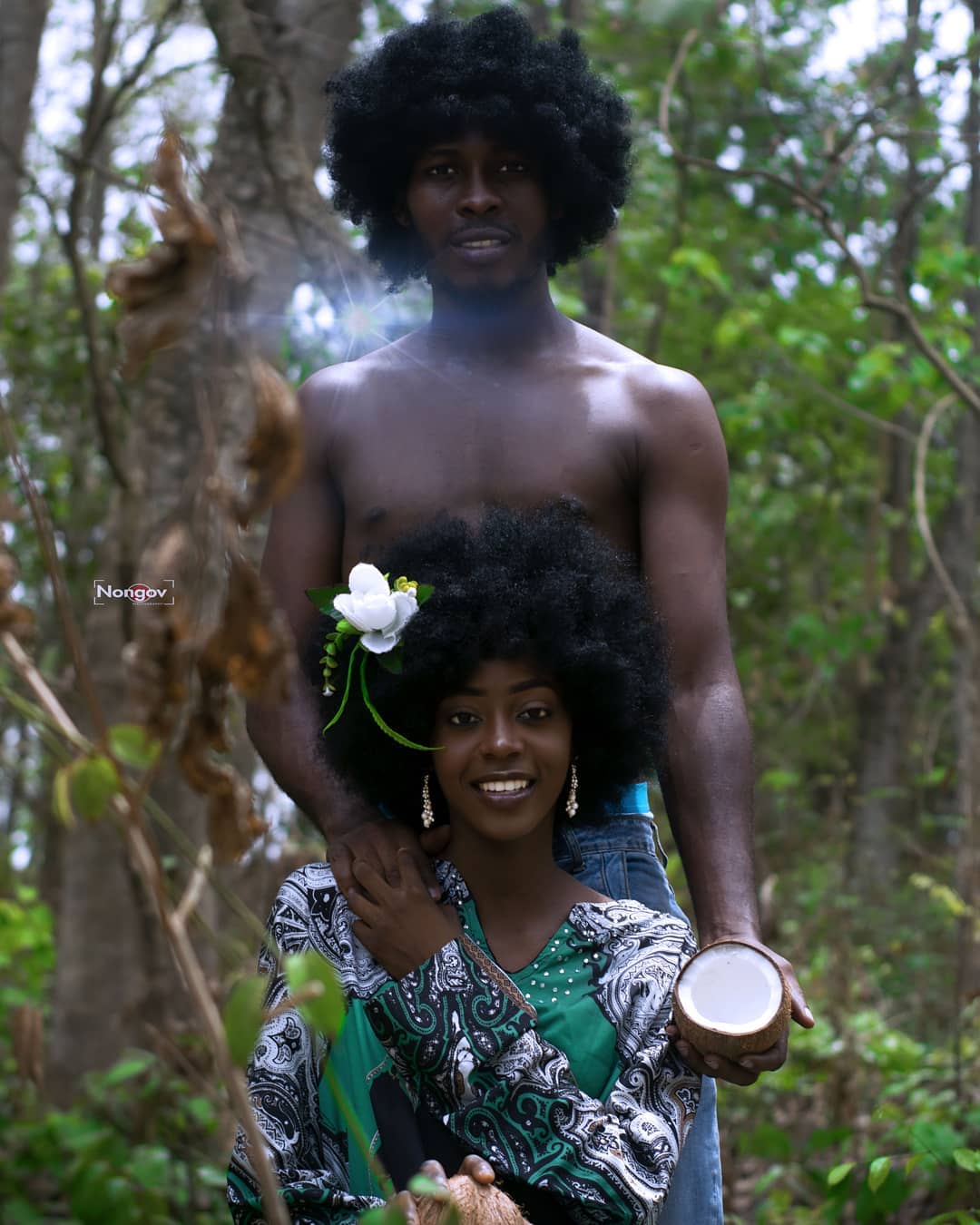 Creation Story Series Image 8