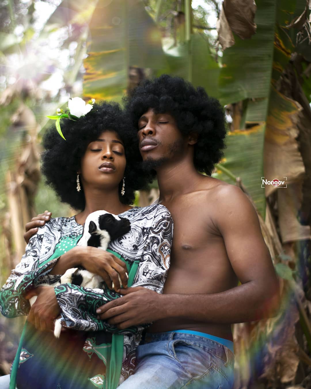 Creation Story Series Image 9